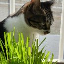 제주동물메디컬센터 이미지