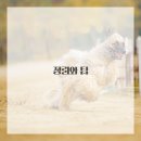 구미덴트도색