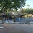 산타로사 이미지