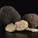 트러플"송로버섯"의 효능과 부작용 이미지