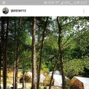 알프스 휴양림 | 청양글랭핑/부여글램핑 수영장있는 알프스휴양림펜션