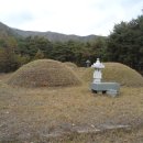 대구서씨 정려 이미지