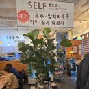 충장로282번길 | 화정 쌀쌀하고 비 오는 날씨에 완벽한 국물요리 소고기만두전골 : 본만두 고양점