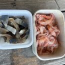 제주 서귀포 쇠소깍 | 제주 배낚시 서귀포 쇠소깍 근처 하효항 캡틴호 후기💙🐟