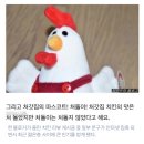 처갓집 핫슈프림양념치킨 맵기,정보/프리시아전기콜라보/솔직후기