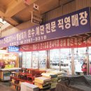 대중도기 이미지