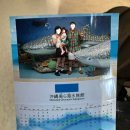 아기상어수족관