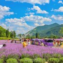 섬내공원 화장실 이미지