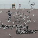 우일 경로당 이미지