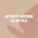 동탄광택: 새차처럼 빛나는 비결 ✨