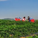 사계절 농장 이미지