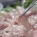 쏘가리네 이미지