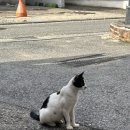 옹골진슈퍼 이미지