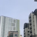 조양수지 이미지