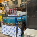 소원이네조개불고기앤조개전골 | 암사역 맛집 소원이네 조개불고기 낮술 성지 능이버섯 조개전골 솔직 후기
