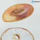 색연필일러스트 이미지