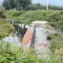 임고면-선원리-13
