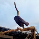 석정약국 이미지