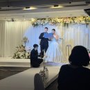 로얄호텔서울 | 명동 로얄호텔 서울 웨딩 후기(동시예식·식사·상담) + 약도 파일 공유