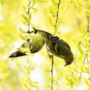 장머리방 이미지