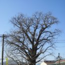 심도역사문화길 이미지