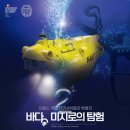 함덕초등학교선인분교 | 이번 주말 벚꽃보러 가요~! 어린이와 함께하는 미술전시 추천(서울 근교 나들이)