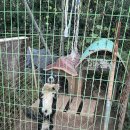 몽멍이들 이미지