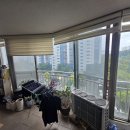 진성금속 | 원주샷시 교체 완벽 가이드 | 구축 아파트 결로·단열 문제 LX샷시로 해결한 후기