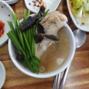 전남능이백숙 의신면맛집 "진도 까바" 방문후기