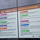 더힐글램핑 | 글램핑 여름 핫플! 수영장트램펄린 볼풀시설 칠곡캠핑장 왜관 힐포레 글램핑 1박 후기 [경북캠핑장 추천]