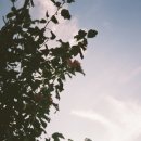 갤러리 스튜디오 현상소 이미지