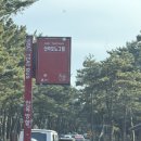 호텔e패션 | 여행] 강릉 신상 호텔 신라 모노그램 레지던스 프리미어 디럭스 숙박후기/레지던스vs호텔차이/내돈내산