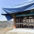 김종립 충신문 티스토리