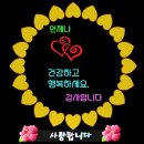 먼동이 트는 아침 이미지