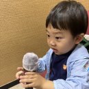 경기도 수원시 권선구 덕영대로1201번길 42 이미지