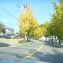 황금호숫가 이미지