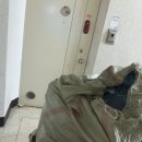 ok헌옷 Daum카페
