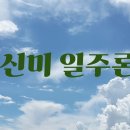 신미 이미지