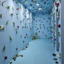 7월23일[수] 시원한 카페폴프랭크와 서해바다 을왕리선녀바위 차이나타운!!특화야간여행 이미지