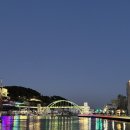 충청도회식당 | 통영 강구안 고등어회 생선구이 맛집 <충청도회초장 통영행복밥상> 내돈내산 후기