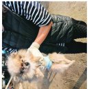 주생면 반송마을 이미지