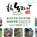 왕대박유통 이미지