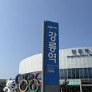 378village | 🌀[강릉] 순두부 아니여도 맛있는게 너무많아!