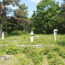 동정동100 이미지