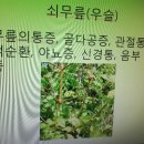 약초와산이야기 이미지