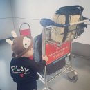 메리골드.제이