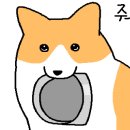 경성칼국수 돈까스 이미지