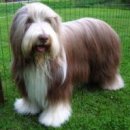 비어비어 이미지