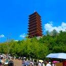 지티센터 | 난징 우수산 가는 방법 입장권 구매 셔틀타는 법 후기