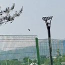 땡심이네